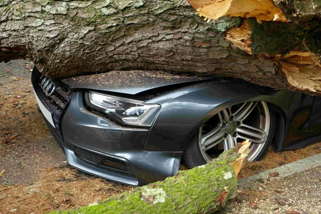 A large tree has fallen on a parked dark grey car, heavily damaging the front end and windshield. The hood is crumpled under the weight of the trunk. Debris and broken branches are scattered around the vehicle on the road and surrounding area, requiring immediate attention from insurance assessors.